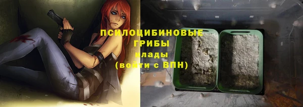 apvp Армянск