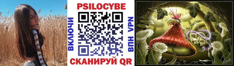 Псилоцибиновые грибы MAGIC MUSHROOMS  Купить закладки  Углегорск 
